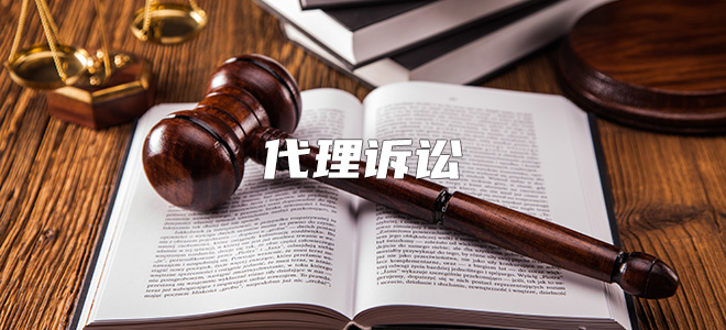 代理诉讼 