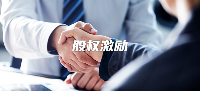 股权激励方案 