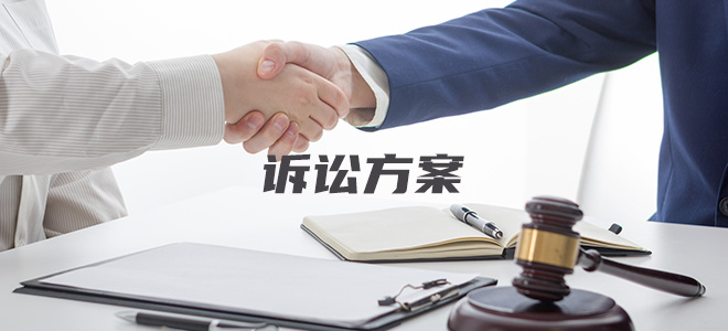 出具诉讼方案 