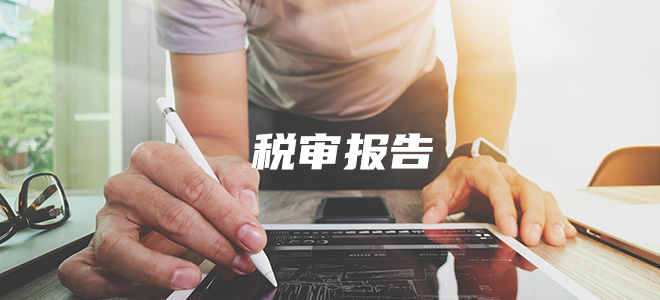 税审报告 