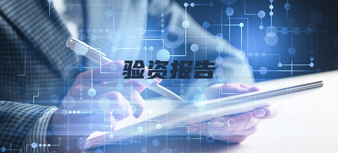 验资报告 