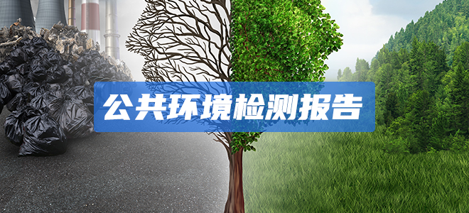 公共环境检测报告 