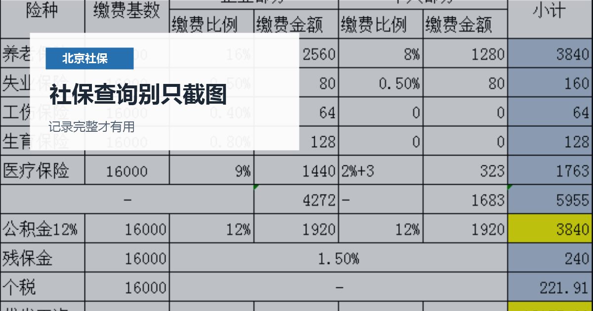 北京社保查询只看缴费记录够吗？办事前还要核主体、月份和用途