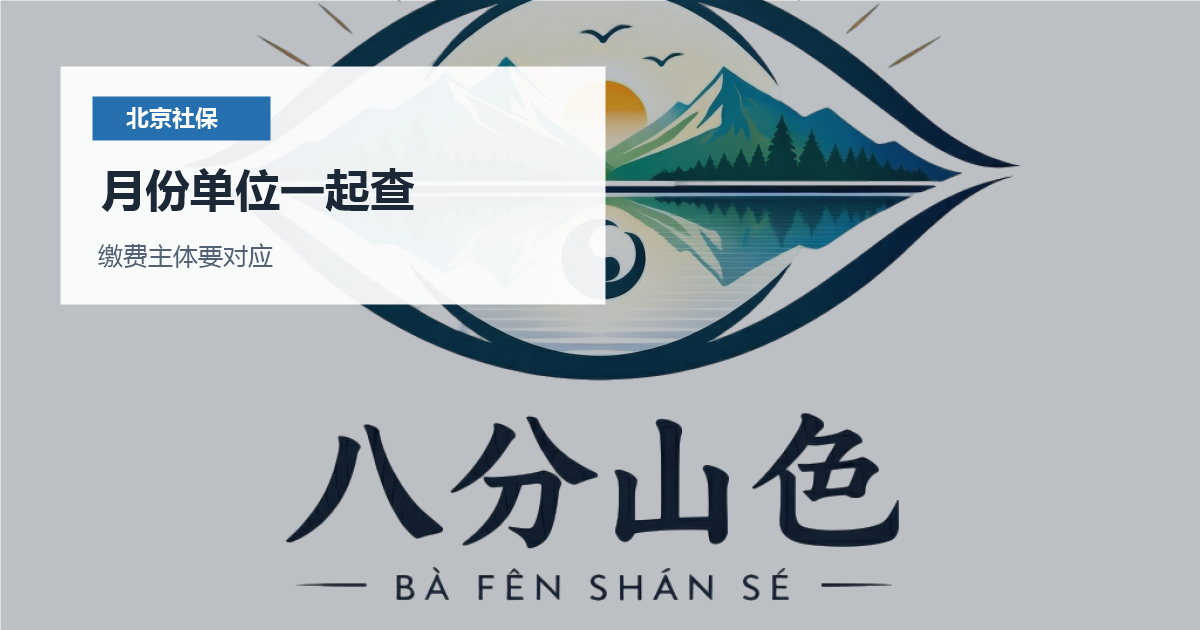 北京北京社保缴费记录连续性核对月份单位一起查配图